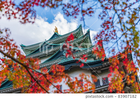 秋天的名古屋城<愛知縣名古屋市> 83907182