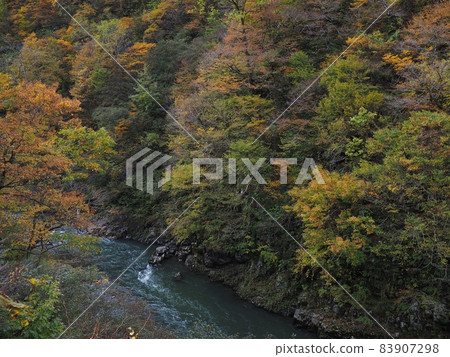 Autumn leaves in the back of the womb [Nainai, Niigata Prefecture] 83907298