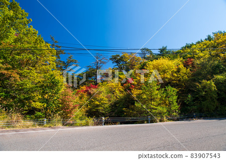 A view of a pond with beautiful autumn leaves on the Ebino Plateau in Kirishima in autumn 83907543