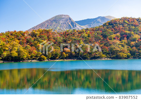秋日霧島蝦野高原池塘美麗的秋葉 秋日霧島蝦野高原池塘美麗的秋葉 83907552