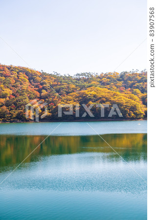 秋日霧島蝦野高原池塘美麗的秋葉 秋日霧島蝦野高原池塘美麗的秋葉 83907568