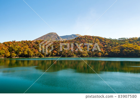 秋日霧島蝦野高原池塘美麗的秋葉 秋日霧島蝦野高原池塘美麗的秋葉 83907580