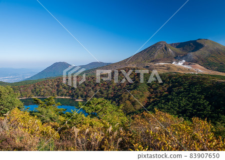 A view of a pond with beautiful autumn leaves on the Ebino Plateau in Kirishima in autumn 83907650