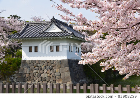 Sakura view Odawara castle 83908259