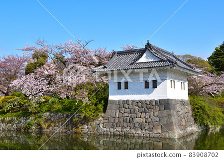 Sakura view Odawara castle corner turret Sakura view Odawara castle corner turret 83908702