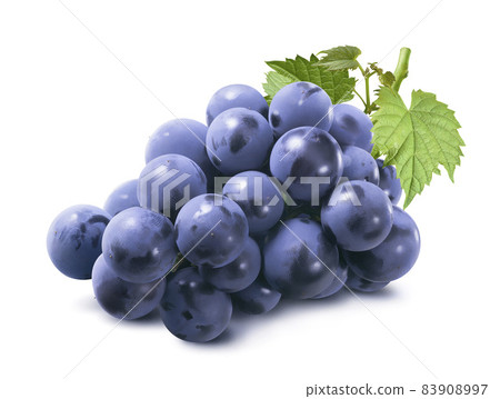 Cluster of  blue grapes with leaves isolated on white background. Bunch of dark berries. 83908997