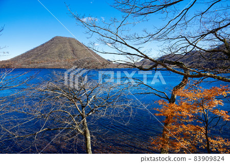 榛名湖湖畔楓葉和榛名富士 83909824