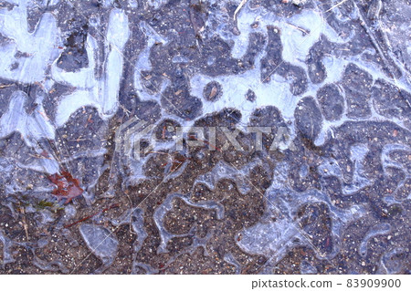 Frozen morning Frozen morning 83909900