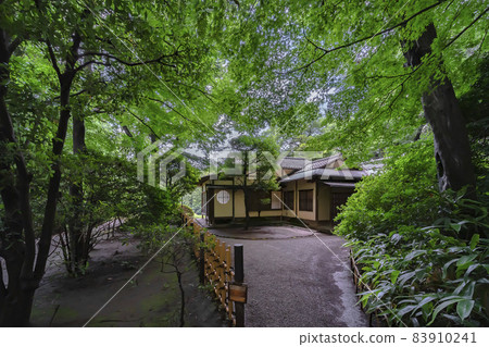 [Shibuya, Tokyo] Kakuuntei in Meiji Jingu Gyoen stands under the green leaves of Kaede. 83910241