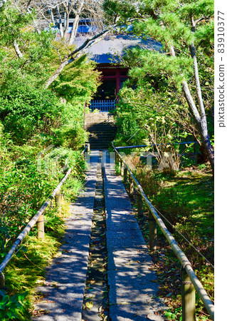 The precincts of Kamakura Myohoji 83910377