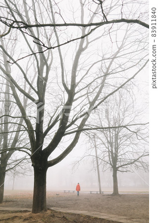 silhouette of man walking in the foggy morning in autumn forest or park alone silhouette of man walking in the foggy morning in autumn forest or park alone 83911840