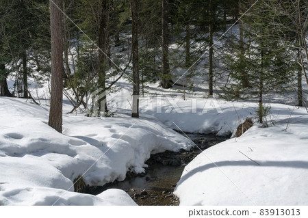 Opened river in early spring among snowdrifts. Opened river in early spring among snowdrifts. 83913013