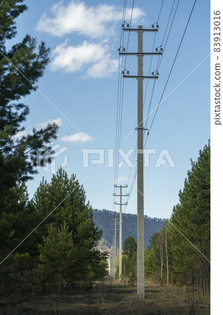 Power lines along the road and forests. Power lines along the road and forests. 83913016
