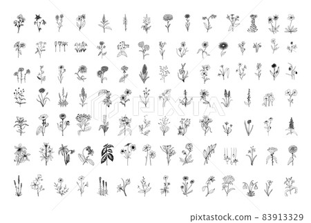 Flowers Illustrations in Art Ink Style 83913329