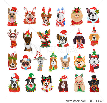 Collection of Dogs In Christmas Costumes 83913378