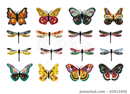 Set of Butterflies and Dragonflies with Patterns - Stock Illustration ...