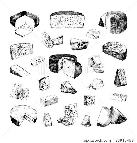 Cheese Illustrations in Art Ink Style 83913492