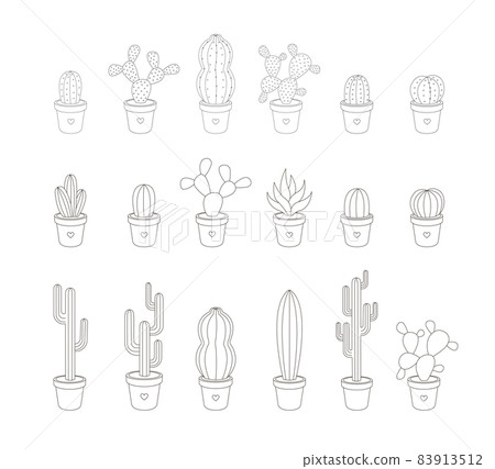 Set of Linear Cactuses 83913512
