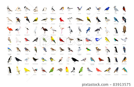 Collection of Wild and Domestic Birds Collection of Wild and Domestic Birds 83913575