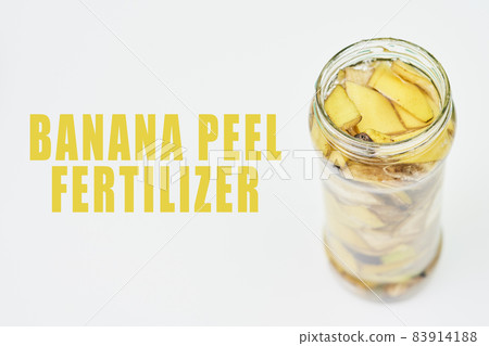A jar filled with banana peel cuts and water. Banana peel for plant fertilization. Eco friendly natural way of fruit waste compost. Banana peel compost A jar filled with banana peel cuts and water. Banana peel for plant fertilization. Eco friendly natural way of fruit waste compost. Banana peel compost 83914188