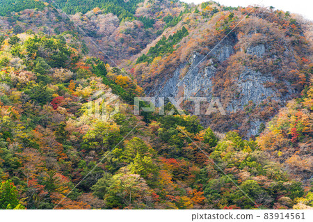 [Tokushima Prefecture] Autumn leaves in Takasekyo 83914561