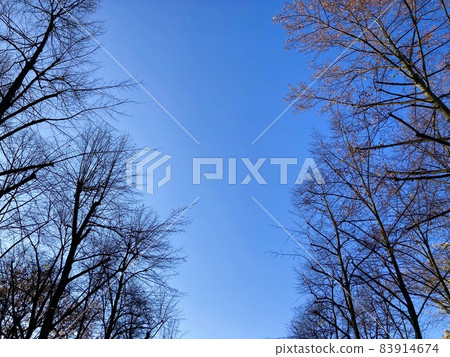 秋冬季晴空萬里 83914674