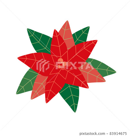 Vector poinsettia, christmas star Vector poinsettia, christmas star 83914675