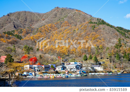 Lake Haruna Lakeside inn and boat stop Colorful autumn leaves Lake Haruna Lakeside inn and boat stop Colorful autumn leaves 83915589