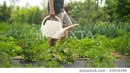 The farmer is watering in the garden. 83916396