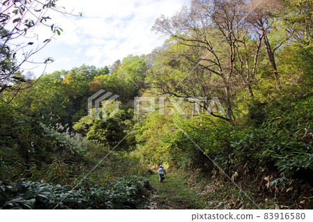 秋日好日子走在舊關口的路上,福島只見健 秋日好日子走在舊關口的路上,福島只見健 83916580