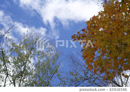 American autumn sky American autumn sky 83916586