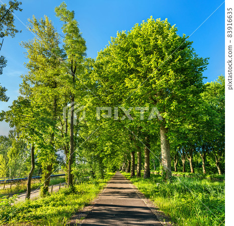 Bikeway along the Rhone - Rhine Canal in Alsace, France 83916635