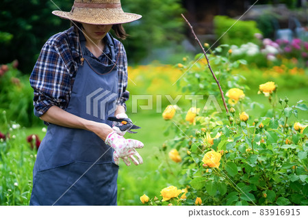 Gardener in a straw hat. Gardener in a straw hat. 83916915