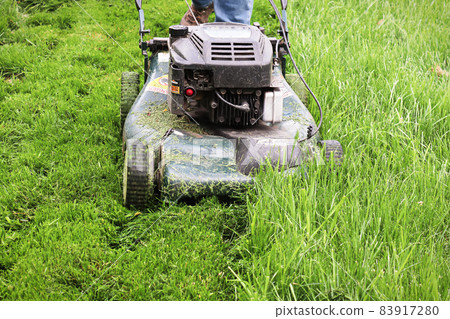 Clsoeup of a lawnmower cutting tall grass 83917280