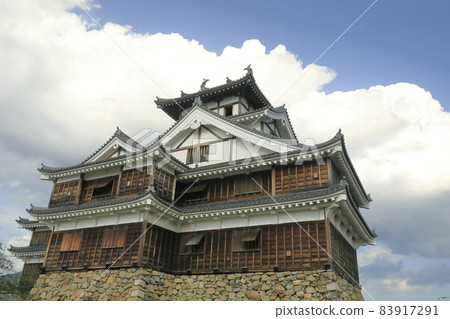 Fukuchiyama Castle in autumn 83917291