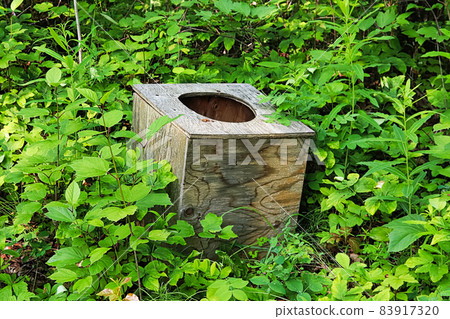 A toilet seat in the middle of the forest 83917320