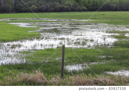 A flooded out green pasture with water everywhere A flooded out green pasture with water everywhere 83917330