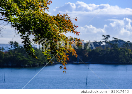 Islands from Fukuurajima 83917443