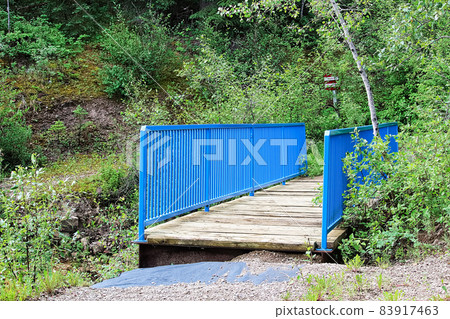 A blue bridge on a hiking trail 83917463