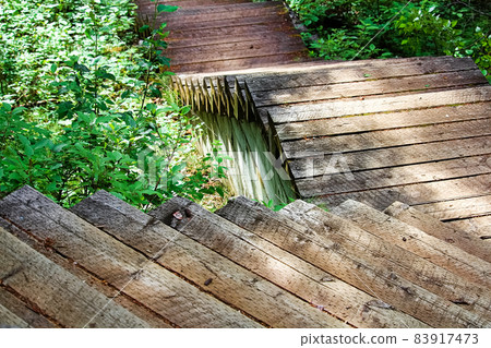 Closeup of wooden steps on a hiking trail 83917473