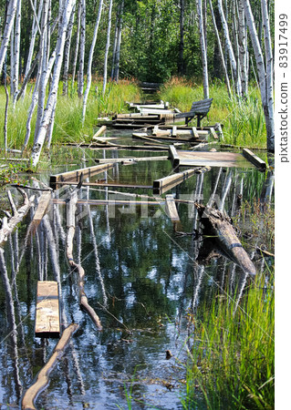 A boardwalk trail that has been flooded out and broken 83917499