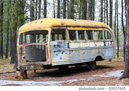 Stripped abandoned bus at a hunters camp on crown land 83917605