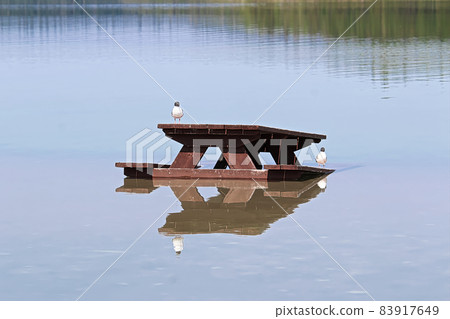 Closeup of two birds resting on a picnic table placed in water 83917649