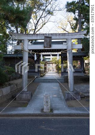白畑天神社的風景<市川市菅野市/11月> 白畑天神社的風景<市川市菅野市/11月> 83917901
