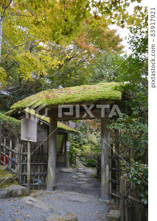 京都市秋季 j Jakkoin 花園入口大原 83917921