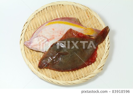 Fish and fresh sand flounder colander Fish and fresh sand flounder colander 83918596