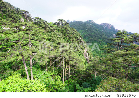 Huangshan, China Huangshan, China 83918670