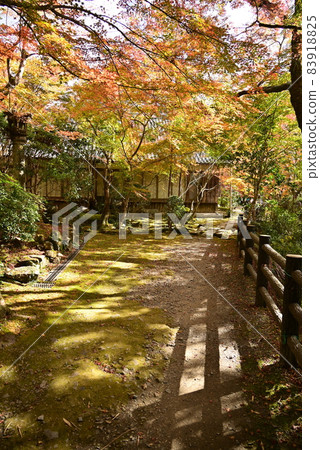 Makio Saimei-ji Temple Makio Saimei-ji Temple 83918825