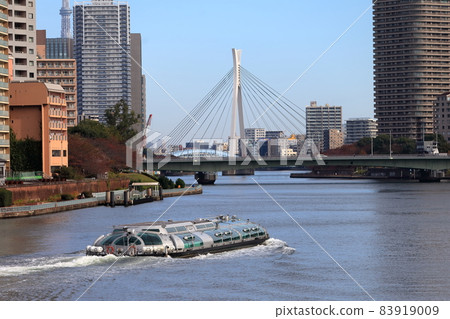 Sumidagawa and Tsukuda Bridge 83919009
