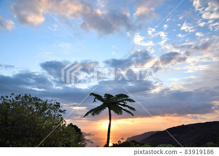 Amami Oshima: Fantastic Isu Bay and Flying Spider-monkey illuminated by the rising sun Amami Oshima: Fantastic Isu Bay and Flying Spider-monkey illuminated by the rising sun 83919186